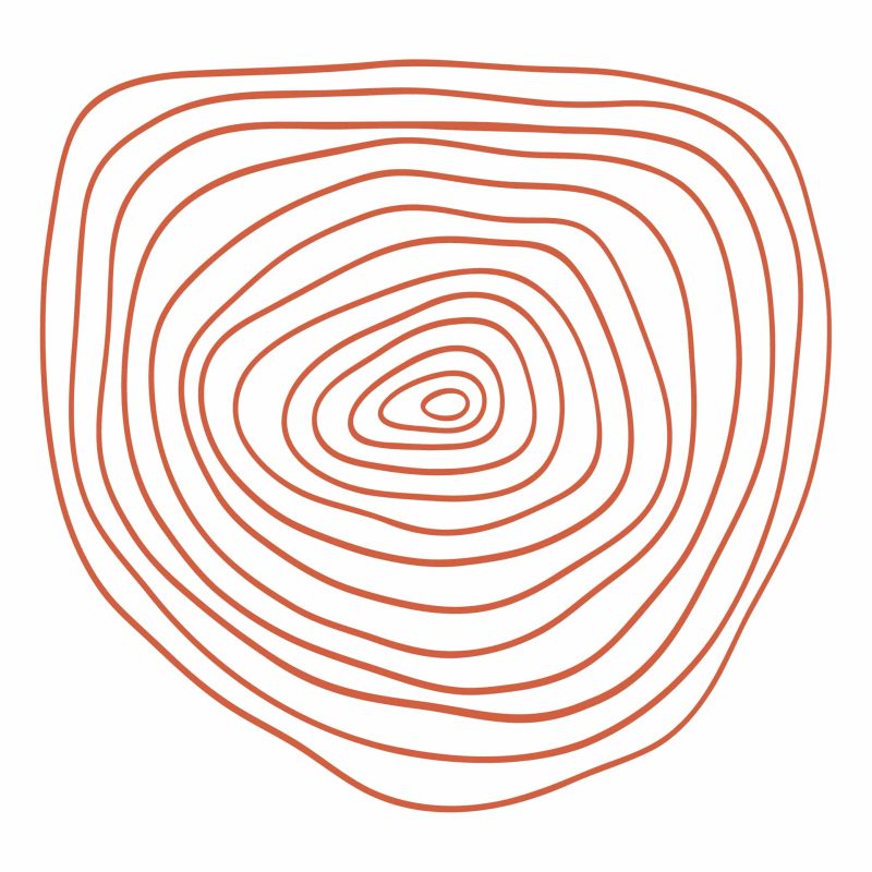 illustration cercles bois